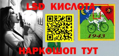 шишки Донской
