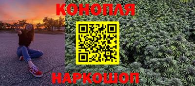стафф Донецк