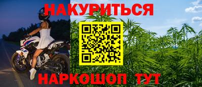 шишки Донской
