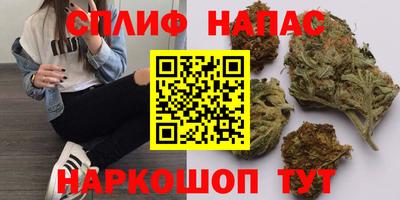 стафф Донецк