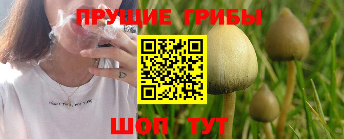 Галлюциногенные грибы GOLDEN TEACHER Минеральные Воды
